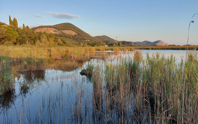 Lago di Massaciuccoli